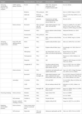 Natural products for kidney disease treatment: Focus on targeting mitochondrial dysfunction